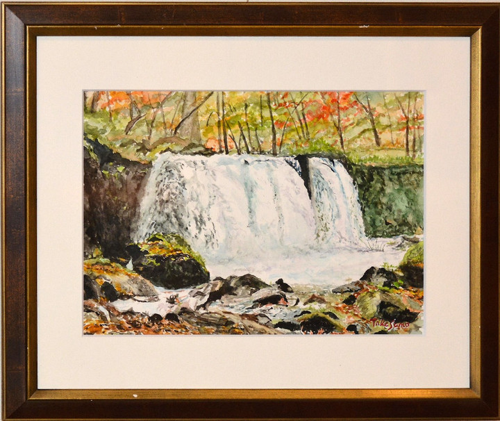 水彩画(上野 公園額装済み) 61lDEc+iRHL._UF350,350_QL50_.jpg