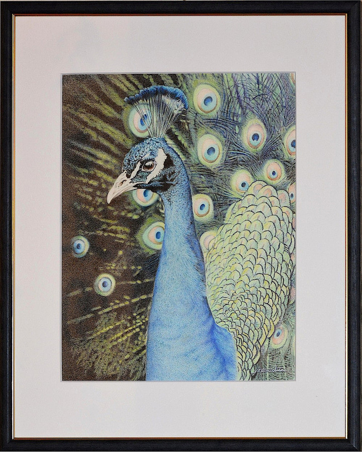 色鉛筆画 76色色鉛筆 - メルカリ