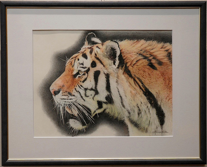 岐阜ハートセンター 便り : 太田 勇 - 超リアル色鉛筆画展