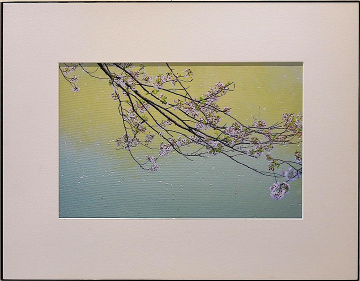 岐阜ハートセンター 便り : 小松章二様 「写真展： 季節の風に誘われて」