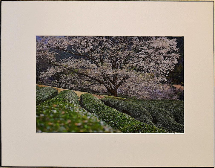 岐阜ハートセンター 便り : 小松章二様 「写真展： 季節の風に誘われて」