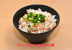 Rice_1519