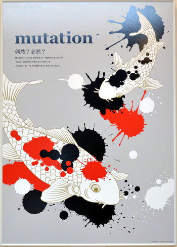 Mutation_6386_0000